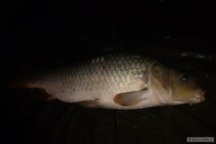 1.denn� v�prava 4.60kg