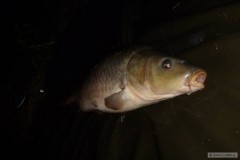 1.denn� v�prava 4.60kg