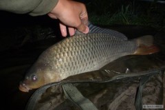 �up�k 4.20kg