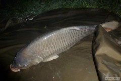 �up�k 4.20kg
