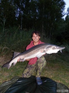 Kliknutím fotografii zvětšíte Vyza velká 18kg