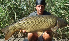 Kapr 93cm 11kg