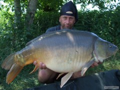 Kapr 84cm 14kg