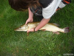 �tika 90cm, 3,48kg