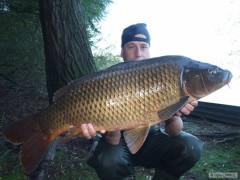 Kapr 86cm