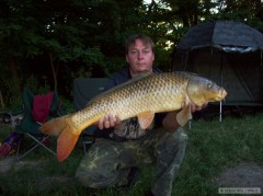 Kliknutím fotografii zvětšíte KAPR 87CM 8KG