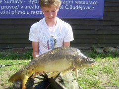Kliknutím fotografii zvětšíte Kapr 81cm/6,70kg