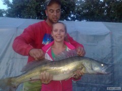 Kliknutím fotografii zvětšíte Candát 91cm,váha 14,5kg