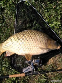 Kliknutím fotografii zvětšíte carp 62 feeder