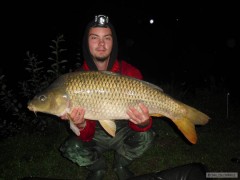 Kliknutím fotografii zvětšíte KAPR OBECNÝ - 86cm/9,5kg