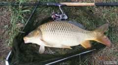 Kliknutím fotografii zvětšíte 55 feeder