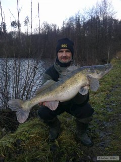 Kliknutím fotografii zvětšíte candát jinolice 93cm,8,30kg smáček 5cm