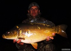 Kliknutím fotografii zvětšíte kapr 71cm-7kg