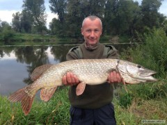 Kliknutím fotografii zvětšíte Stika 89 cm