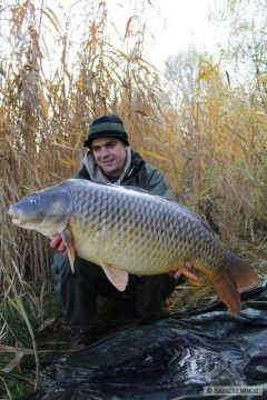 17,7 kg
