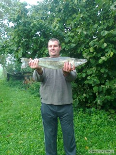 Cand�t 77cm,4.8kg