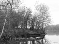 Kliknutím fotografii zvětšíte