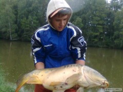 kapr 80cm 10kg
