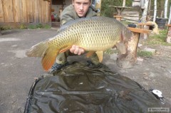 8kg