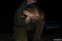 11kg