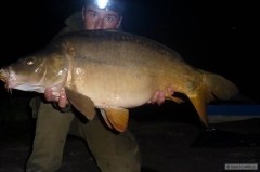 11kg