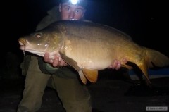 11kg