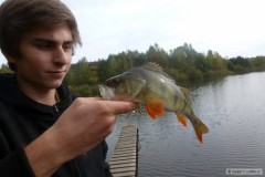 Kliknutím fotografii zvětšíte Okoun 35cm