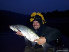 Bolen 75cm :-)