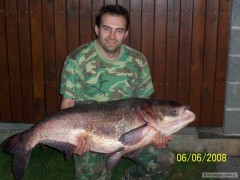 Kliknutím fotografii zvětšíte Tolstolobik 118cm, váha 27,5kg