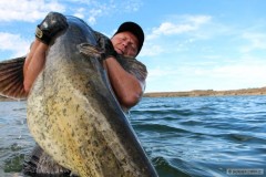 Sumec 230 cm, 80 Kg Ebro