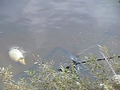 Kliknutím fotografii zvětšíte slapy