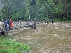 Kliknutím fotografii zvětšíte Ploucnice 3 povodne