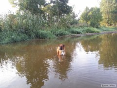 Kliknutím fotografii zvětšíte Pomocník velký :D