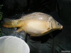 slun��ko