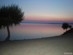 Kliknutím fotografii zvětšíte Mušov 2010
