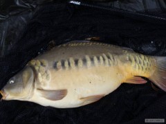 Né velikost,ale krása rozhoduje-72cm