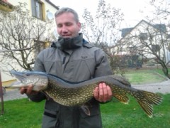 Kliknutím fotografii zvětšíte Štika- 90cm ,6kg