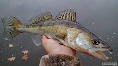 Menší, ale potěšil...