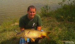 Kliknutím fotografii zvětšíte kapr 79cm