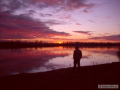 Kliknutím fotografii zvětšíte Baraba 15.12.2013