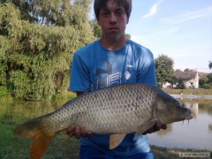 Kapr 75 cm(rybn�k Vl�� Hab�ina)