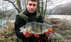 Kliknutím fotografii zvětšíte Okoun 40cm