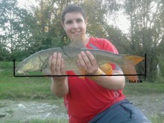 Kliknutím fotografii zvětšíte Parma 66,6 cm