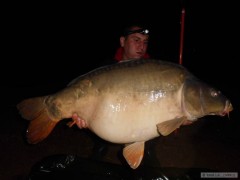 19kg