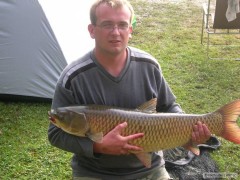 Amur 94cm