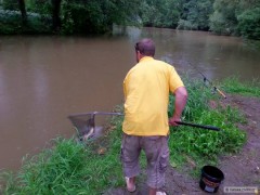 Kliknutím fotografii zvětšíte Carp z Úslavy jde zpatky
