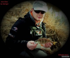 Kliknutím fotografii zvětšíte Perch