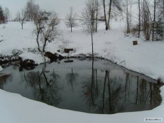 Kliknutím fotografii zvětšíte Můj rybníček
