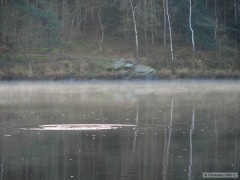 Kliknutím fotografii zvětšíte