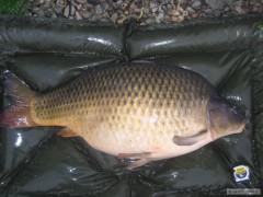 nej koule 22.50kg :-)